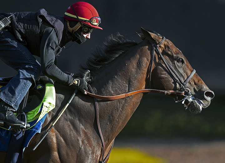 McKinzie trains at Santa Anita on Feb. 25