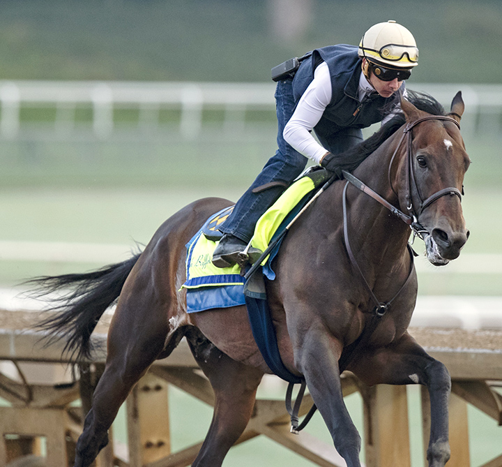 McKinzie trains at Santa Anita on June 23