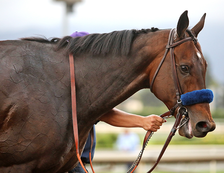 McKinzie at Santa Anita Park on Sept. 28