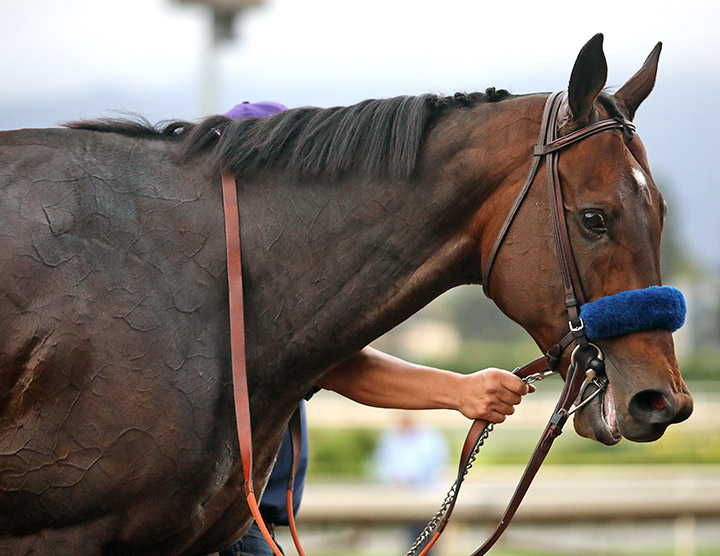 McKinzie at Santa Anita in September 2019