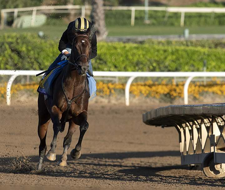 McKinzie works at Santa Anita Park on Oct. 28