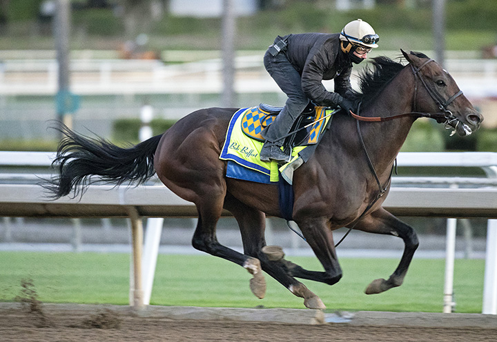 McKinzie trains at Santa Anita on Dec. 16
