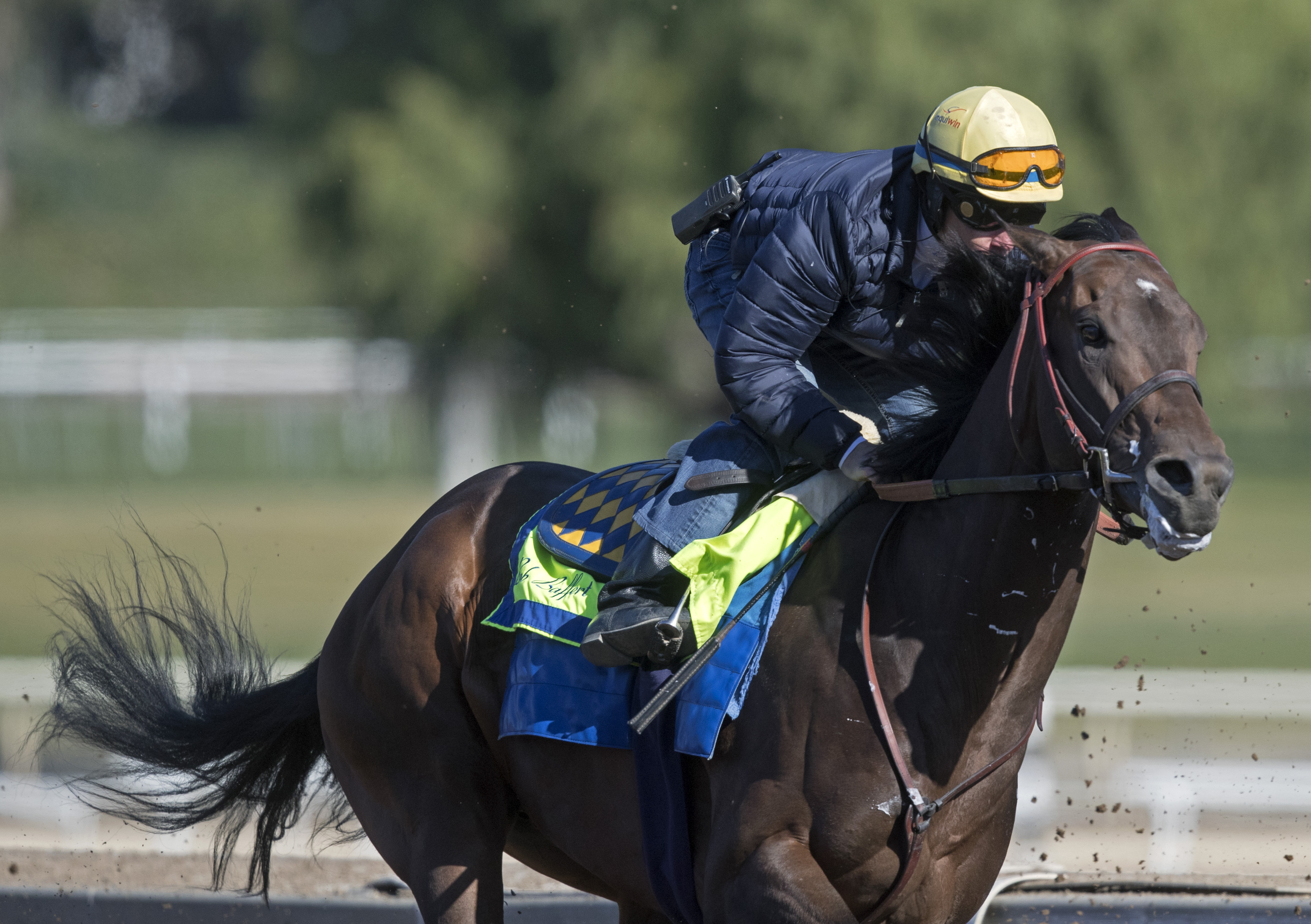 McKinzie drills at Santa Anita 2-24-2018