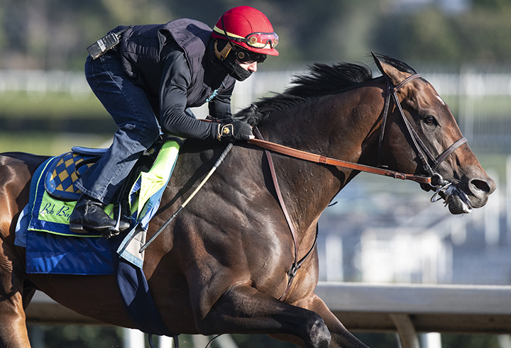 McKinzie trains at Santa Anita on Feb. 25