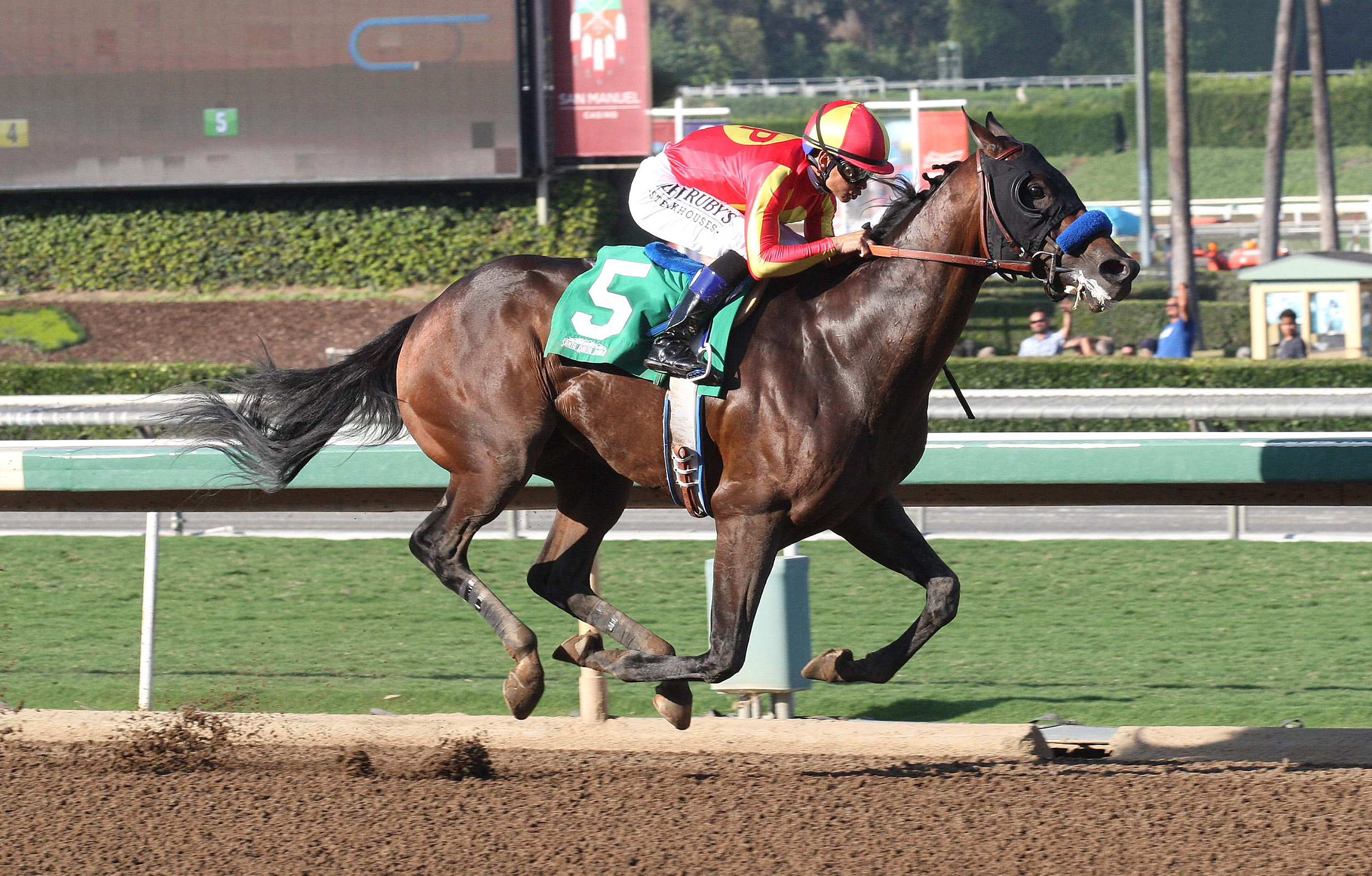 McKinzie wins an Oct. 28 maiden race