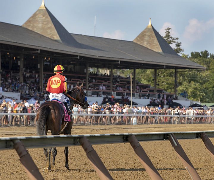 McKinzie after winning the Whitney Stakes at Saratoga Race Course