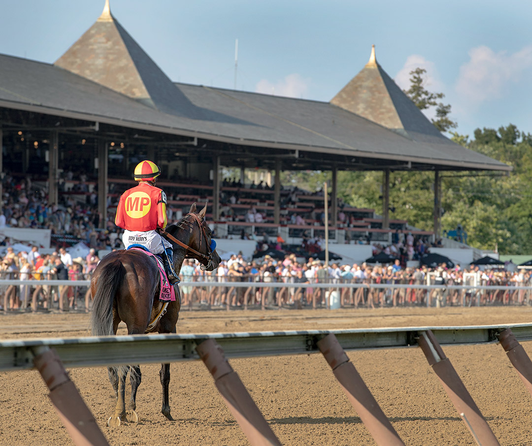 McKinzie after winning the Whitney Stakes at Saratoga Race Course