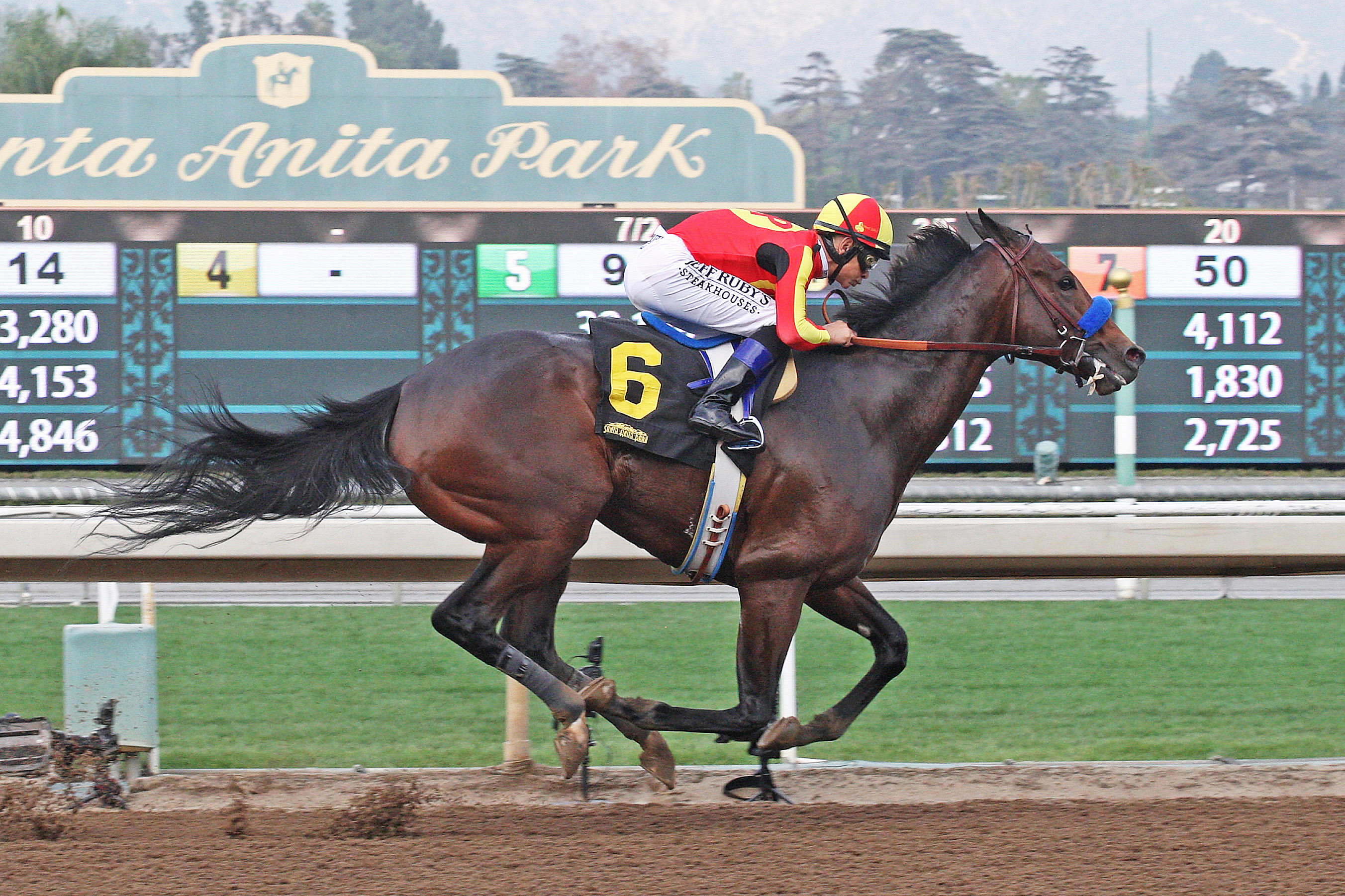 McKinzie wins the 2018 Sham Stakes