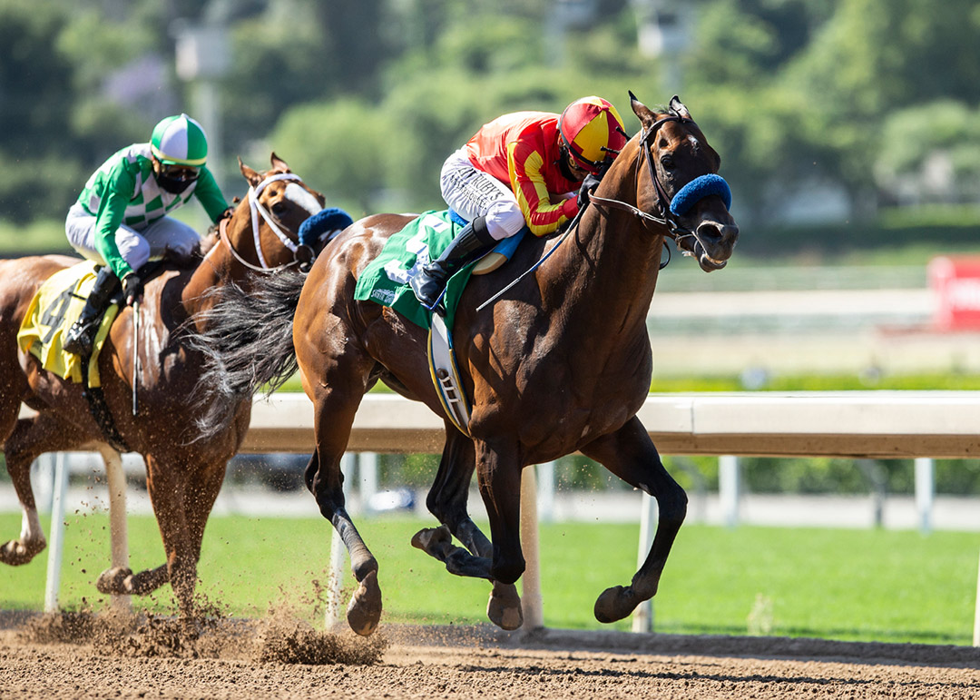 McKinzie wins the 2020 Triple Bend Stakes at Santa Anita