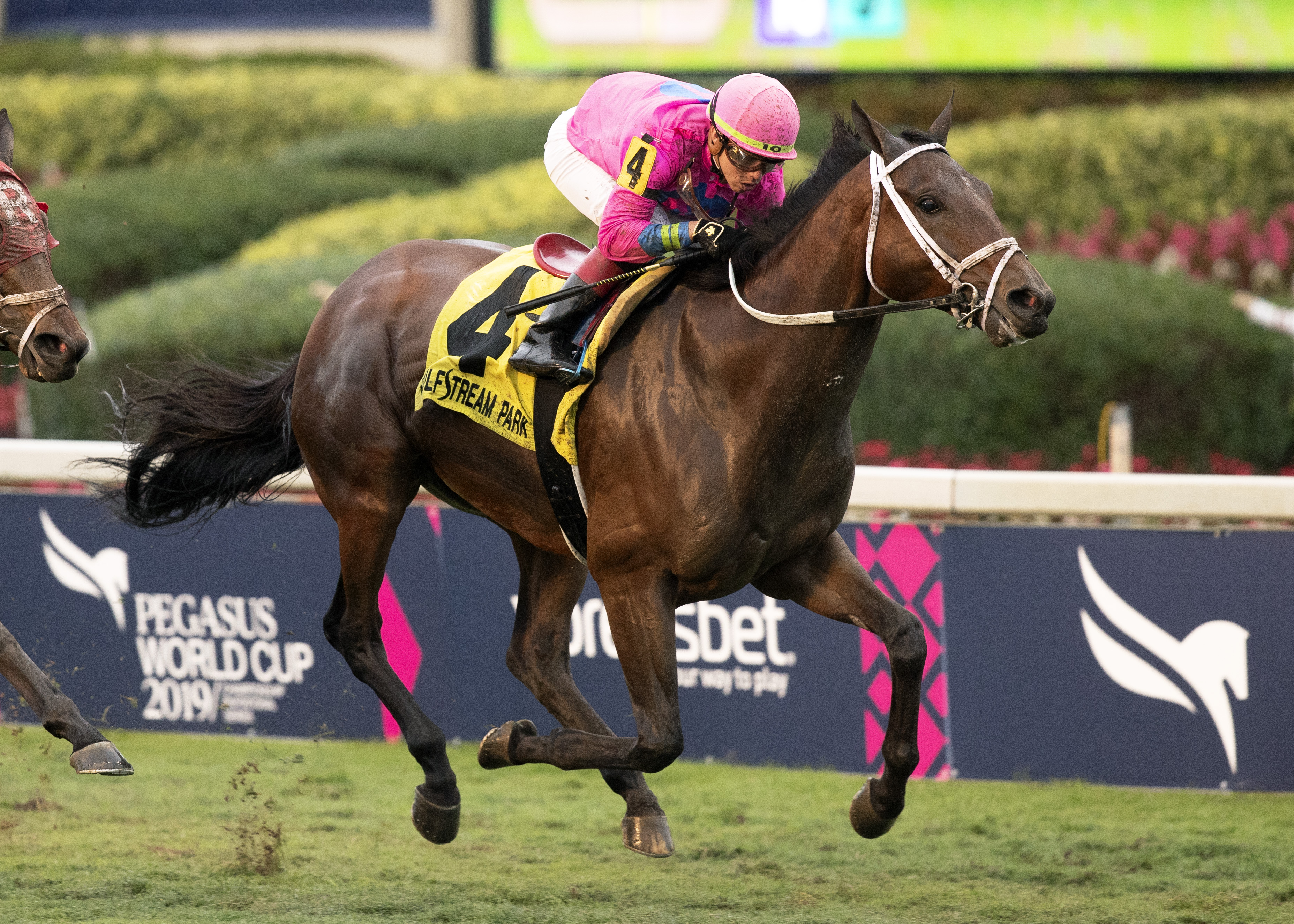 Zulu Alpha wins 2019 W.L. McKnight