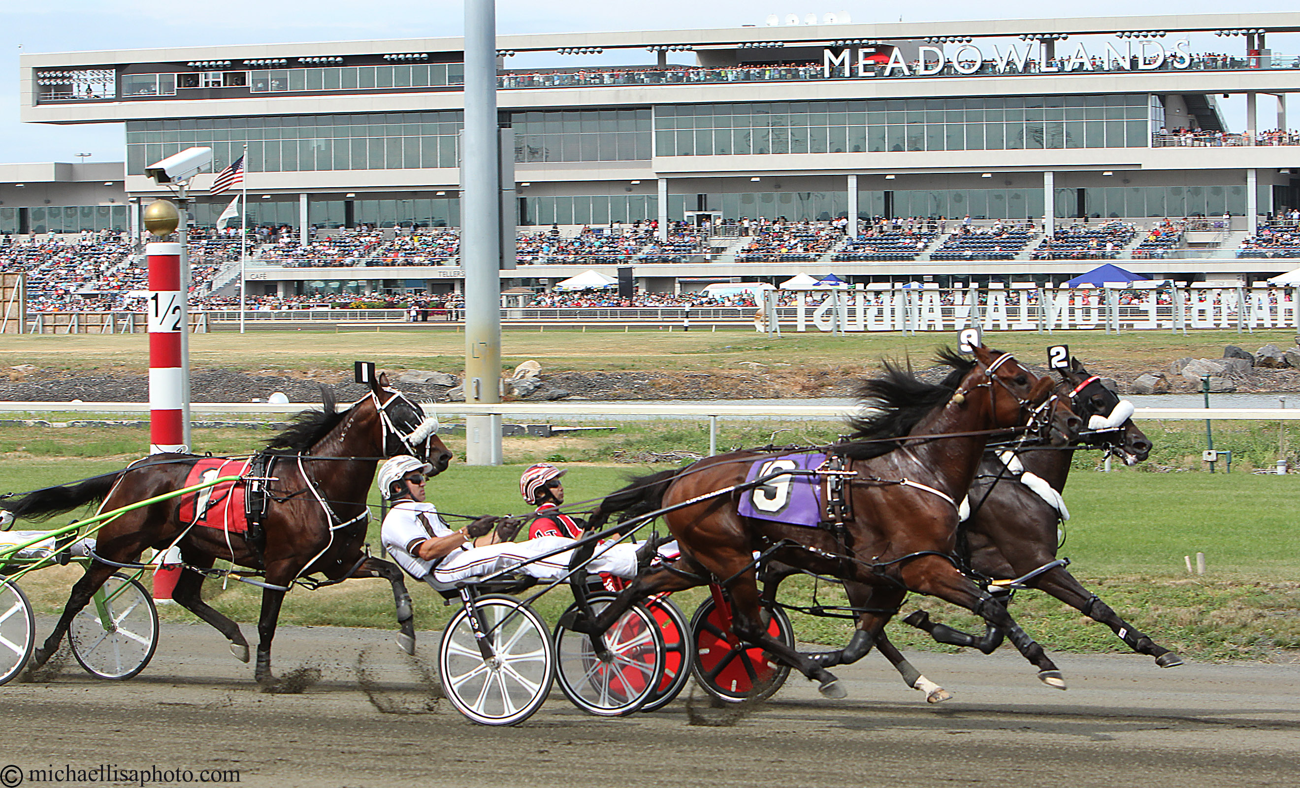 Meadowlands backstretch