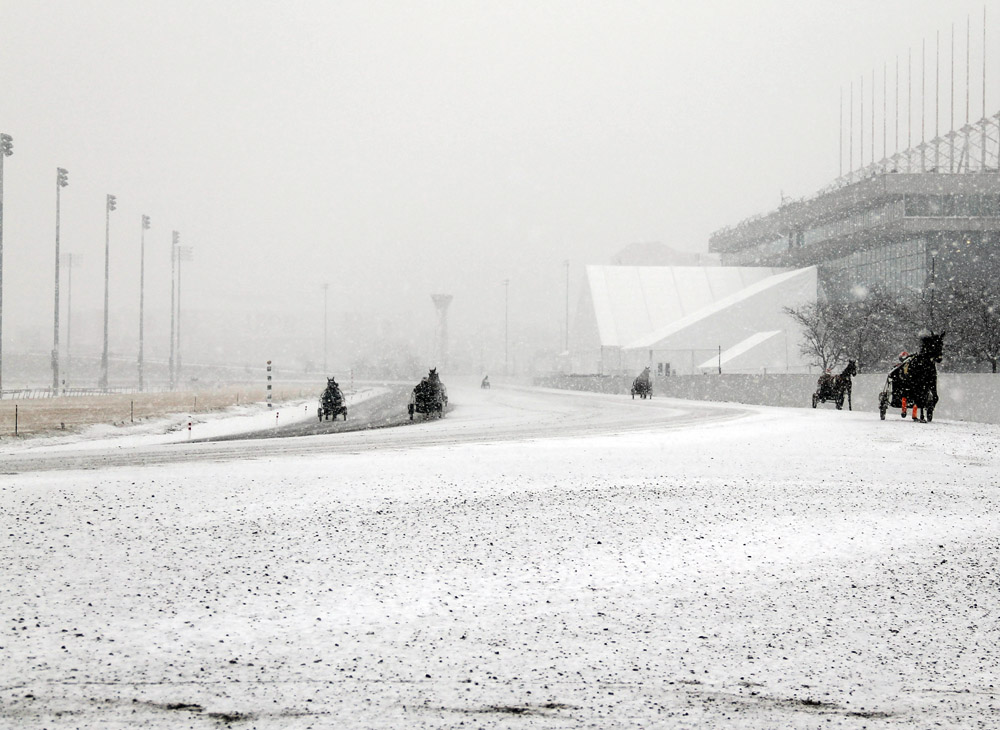 Meadowlands snow