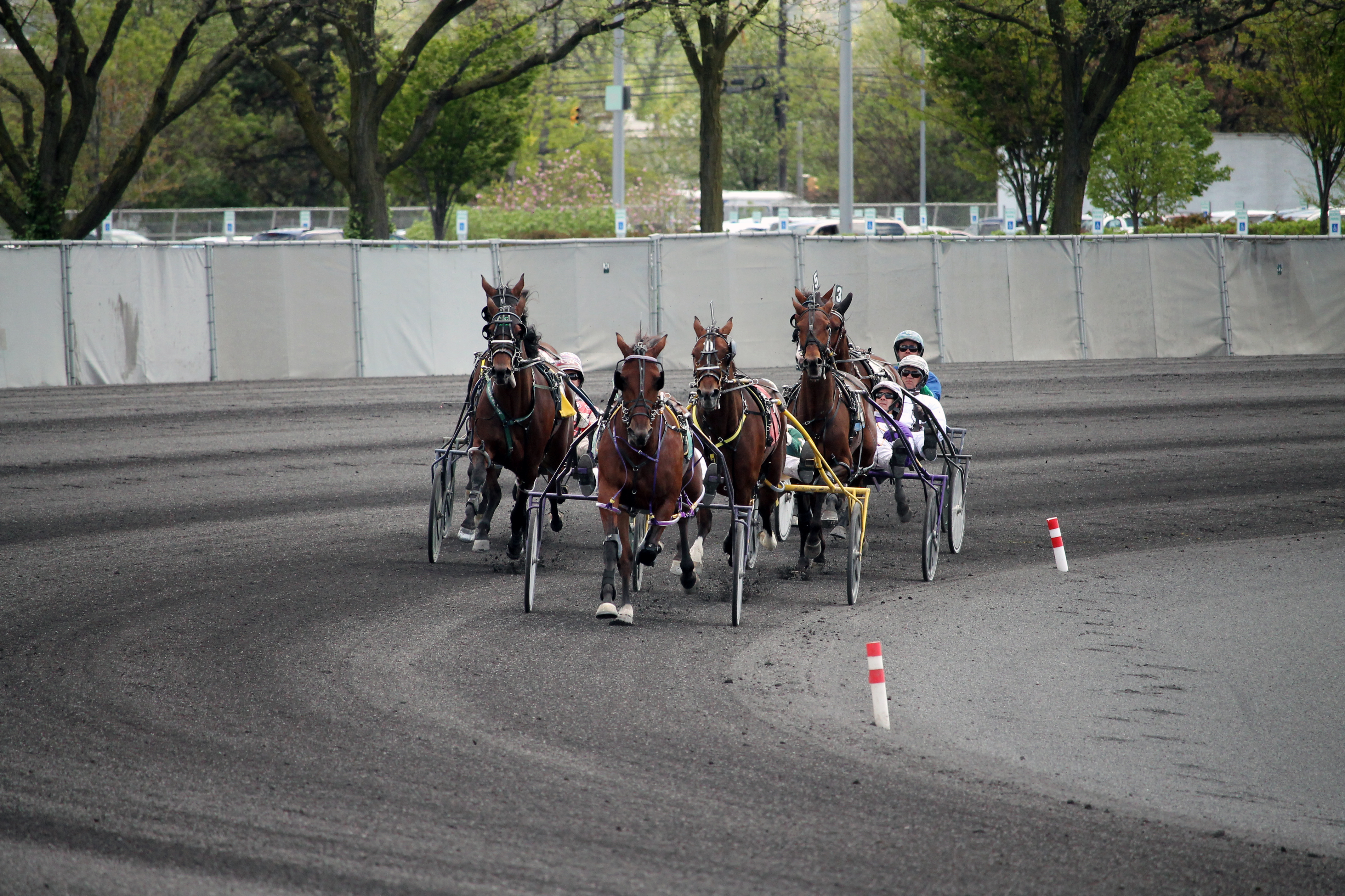 Meadowlands turn