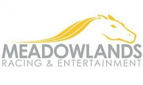 Meadowlands logo (new)