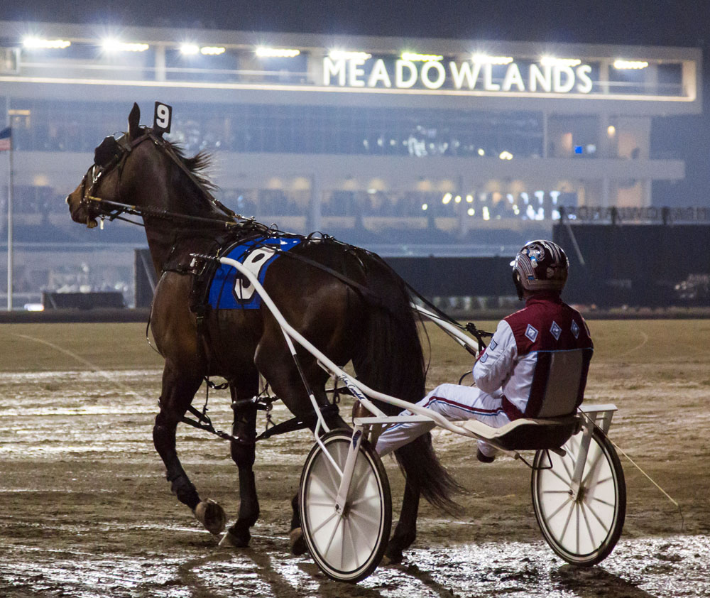 John Campbell_meadowlands