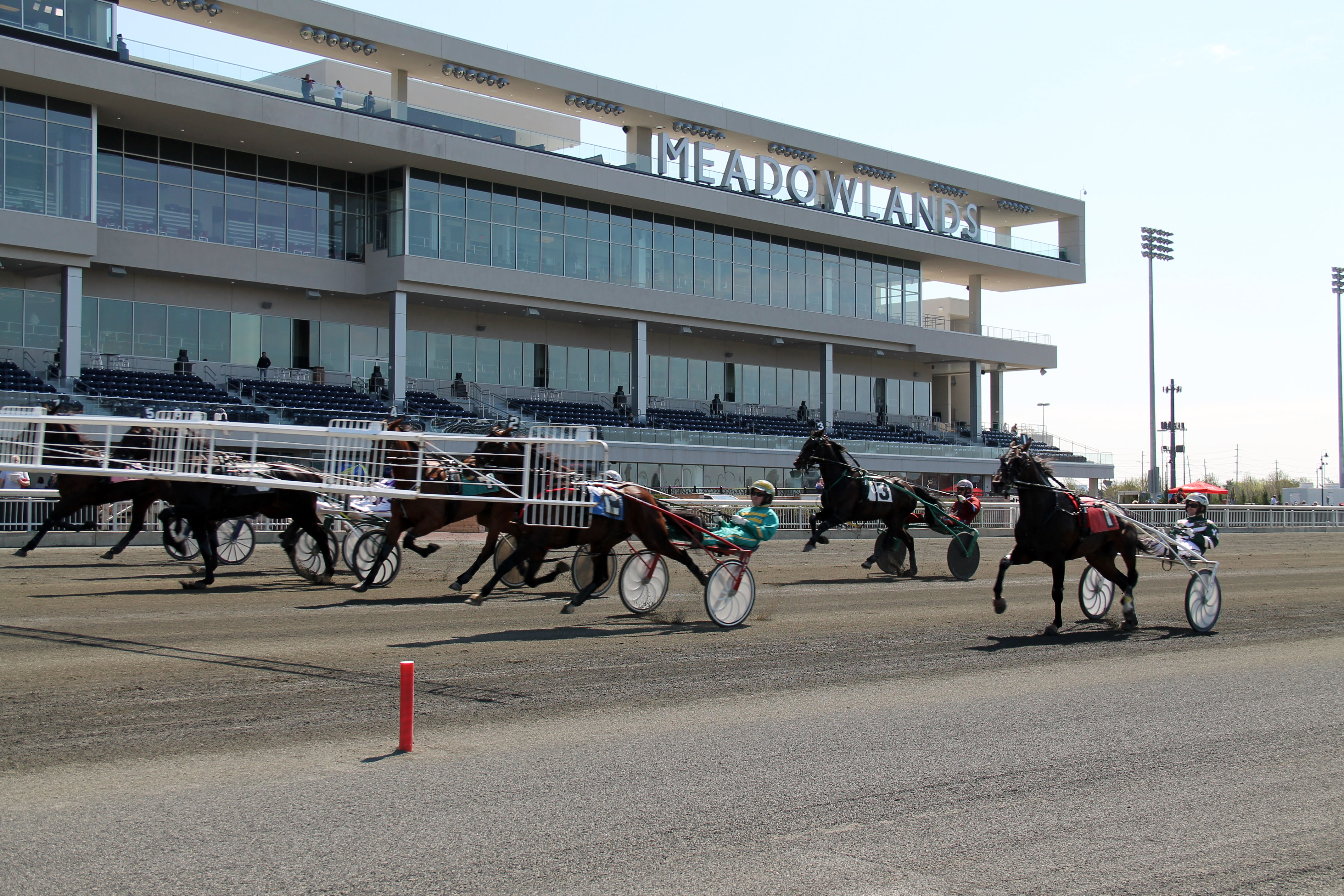 Meadowlands behind gate