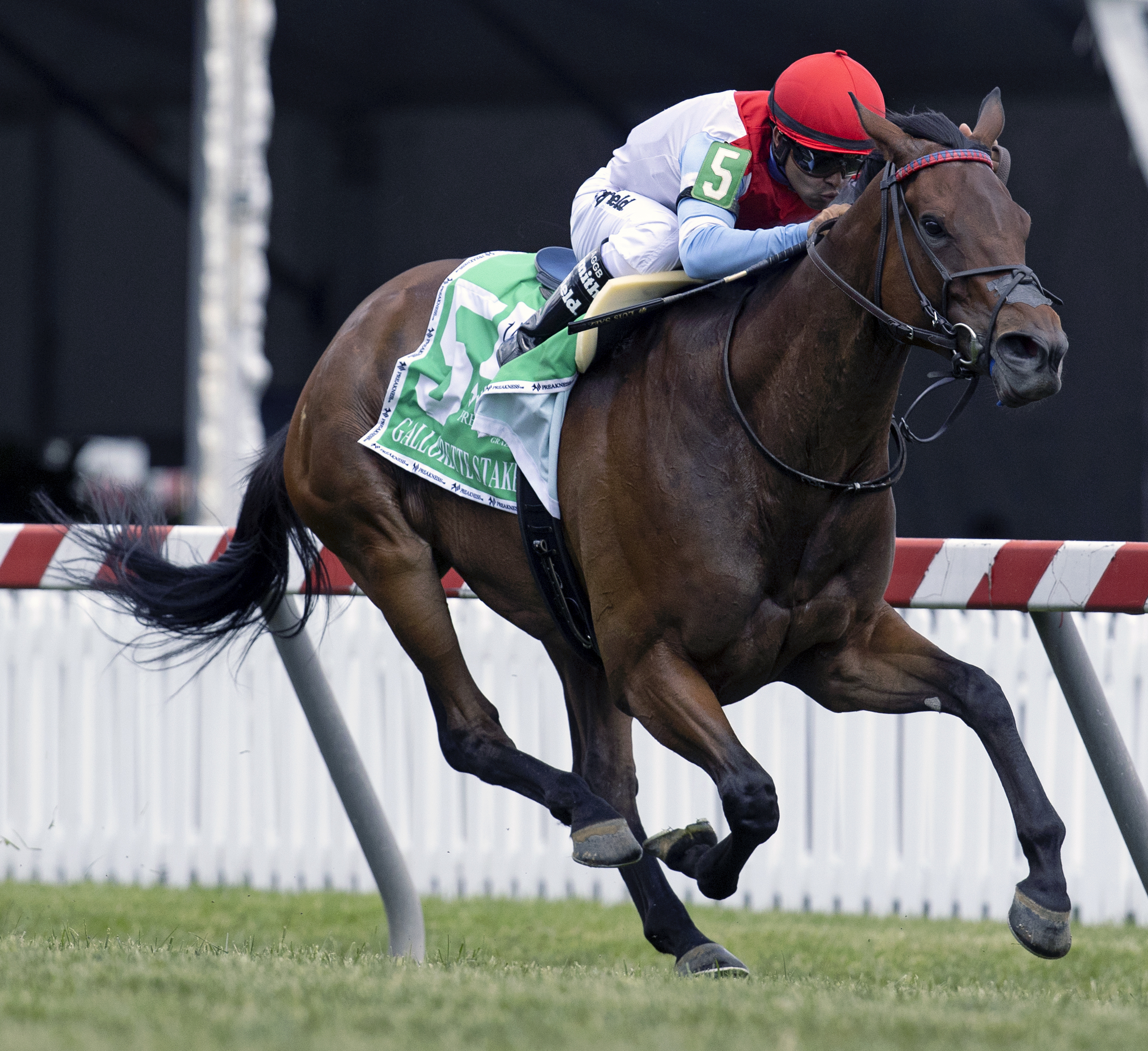 Mean Mary - Gallorette G3