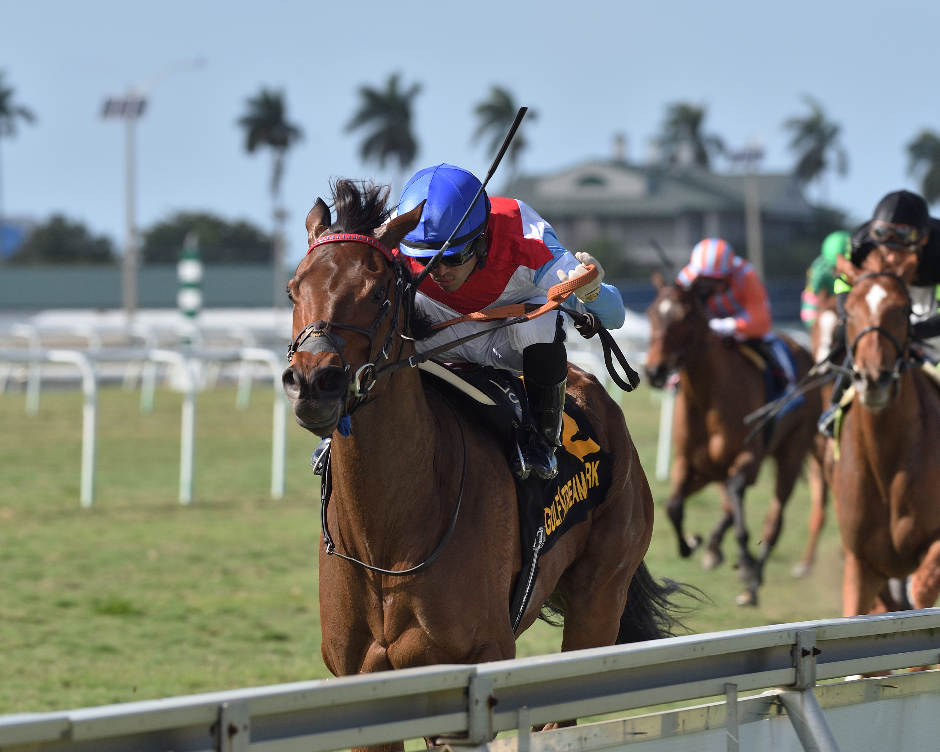 Mean Mary wins the 2020 Orchid Stakes