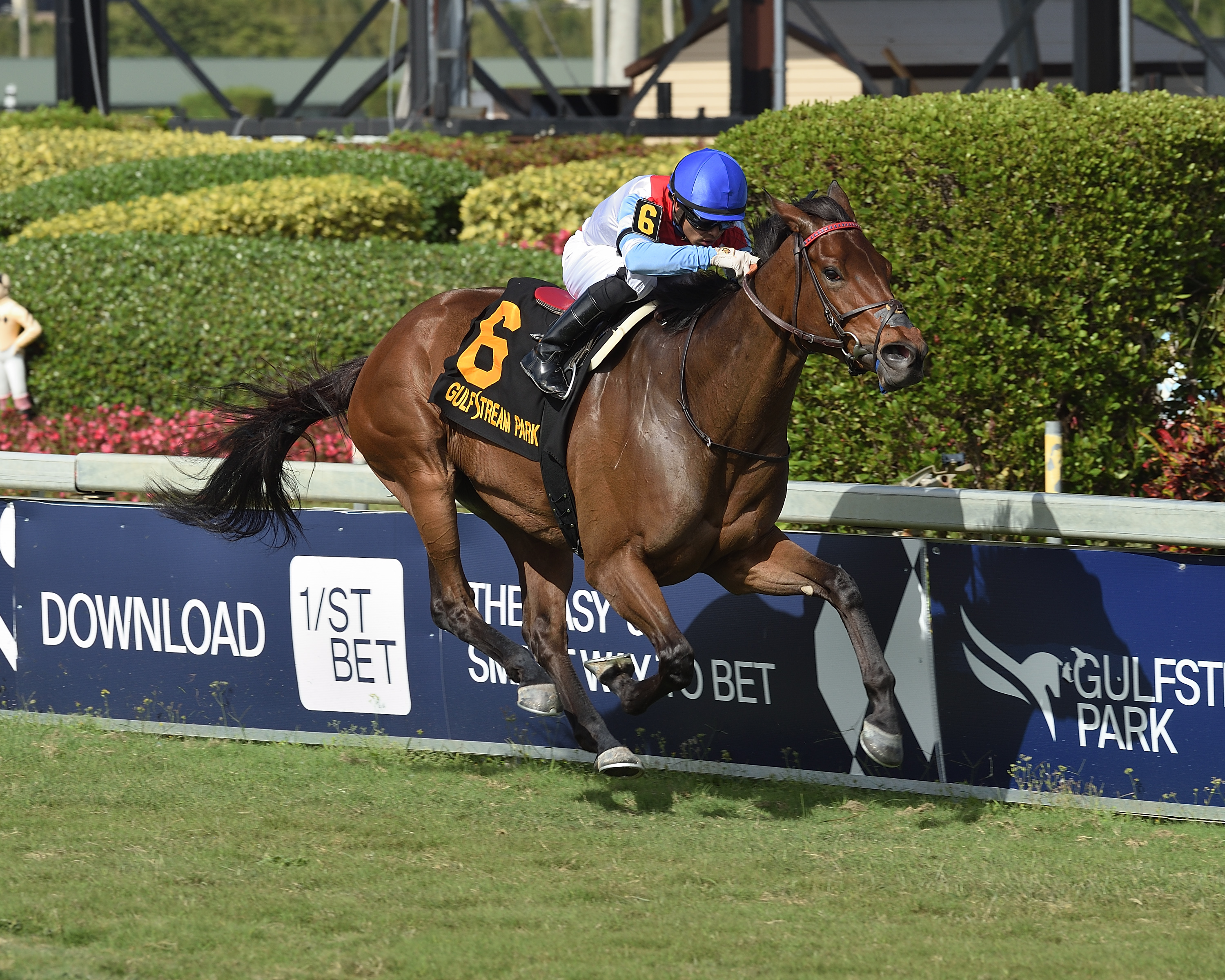 Mean Mary wins the 2020 Orchid Stakes