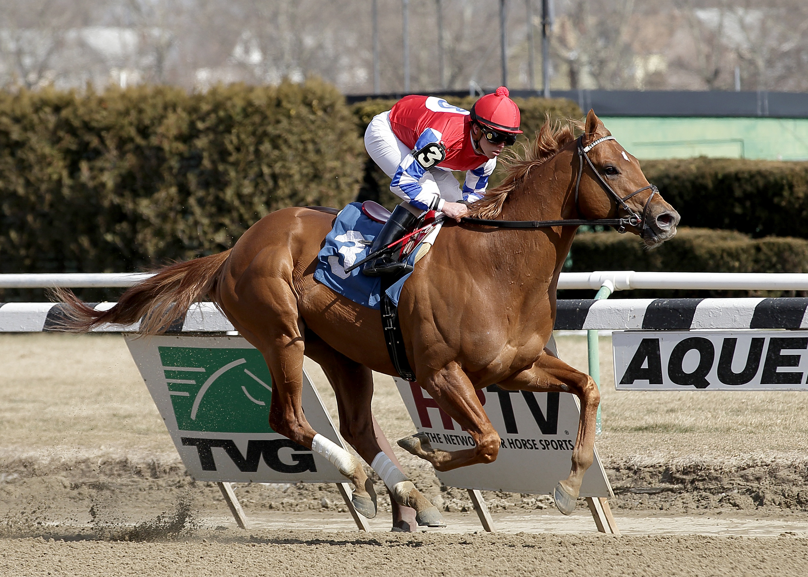 Mean Season wins an allowance race