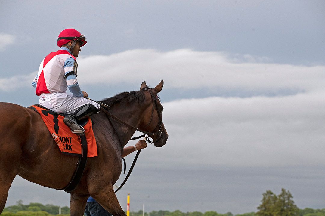 Mean Mary after winning the New York Stakes at Belmont Park