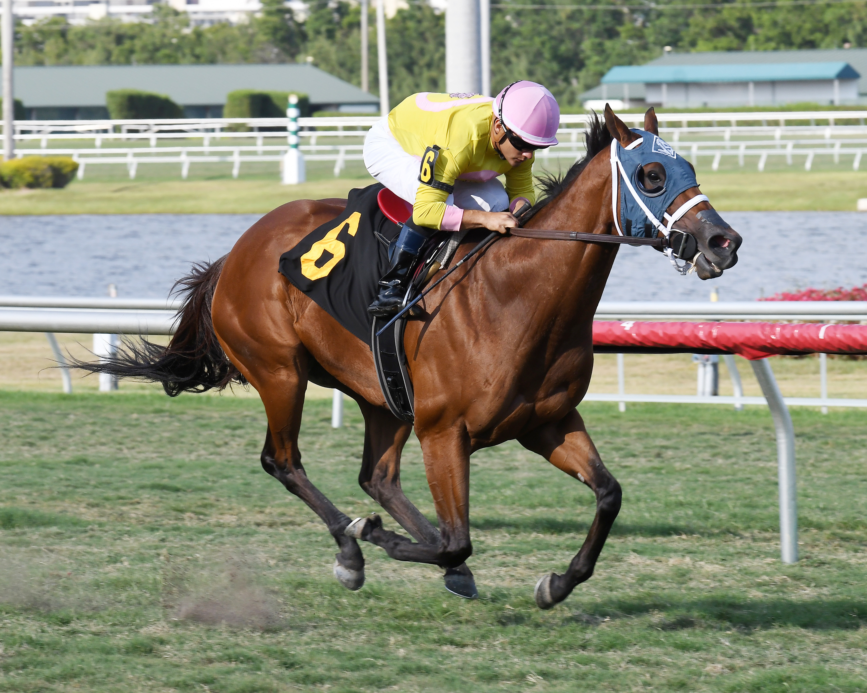 Meant Tobe Mine gives Jason Servis his 1000th win