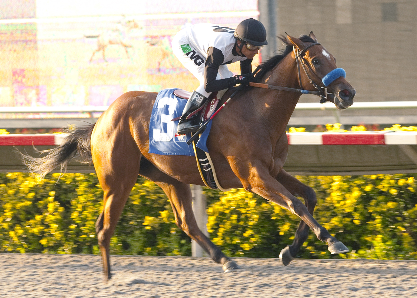 Mechaya wins a maiden race at Del Mar