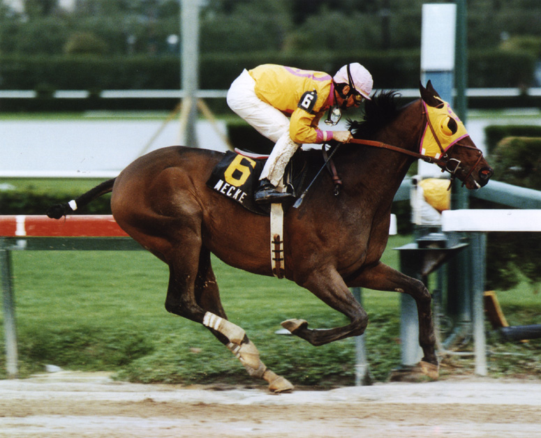 Mecke, 1997 Mac Diarmida Handicap