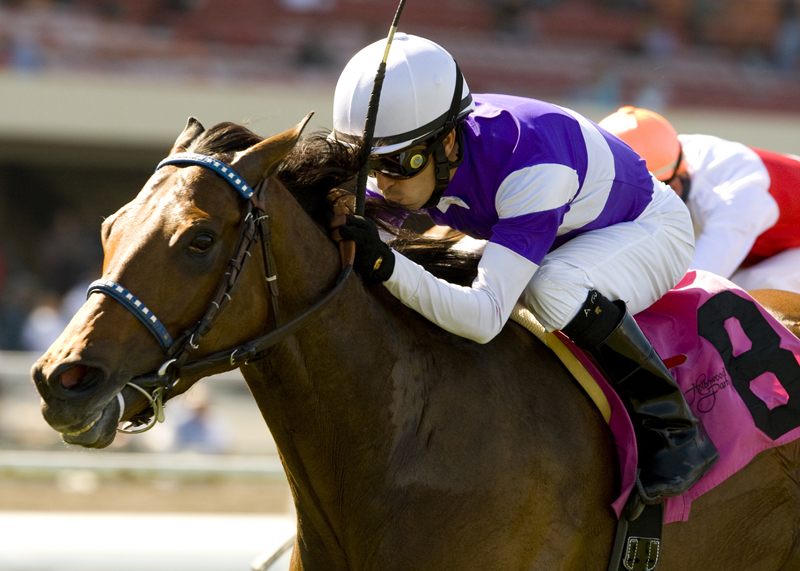 Medaglia d'Amour/Wilshire