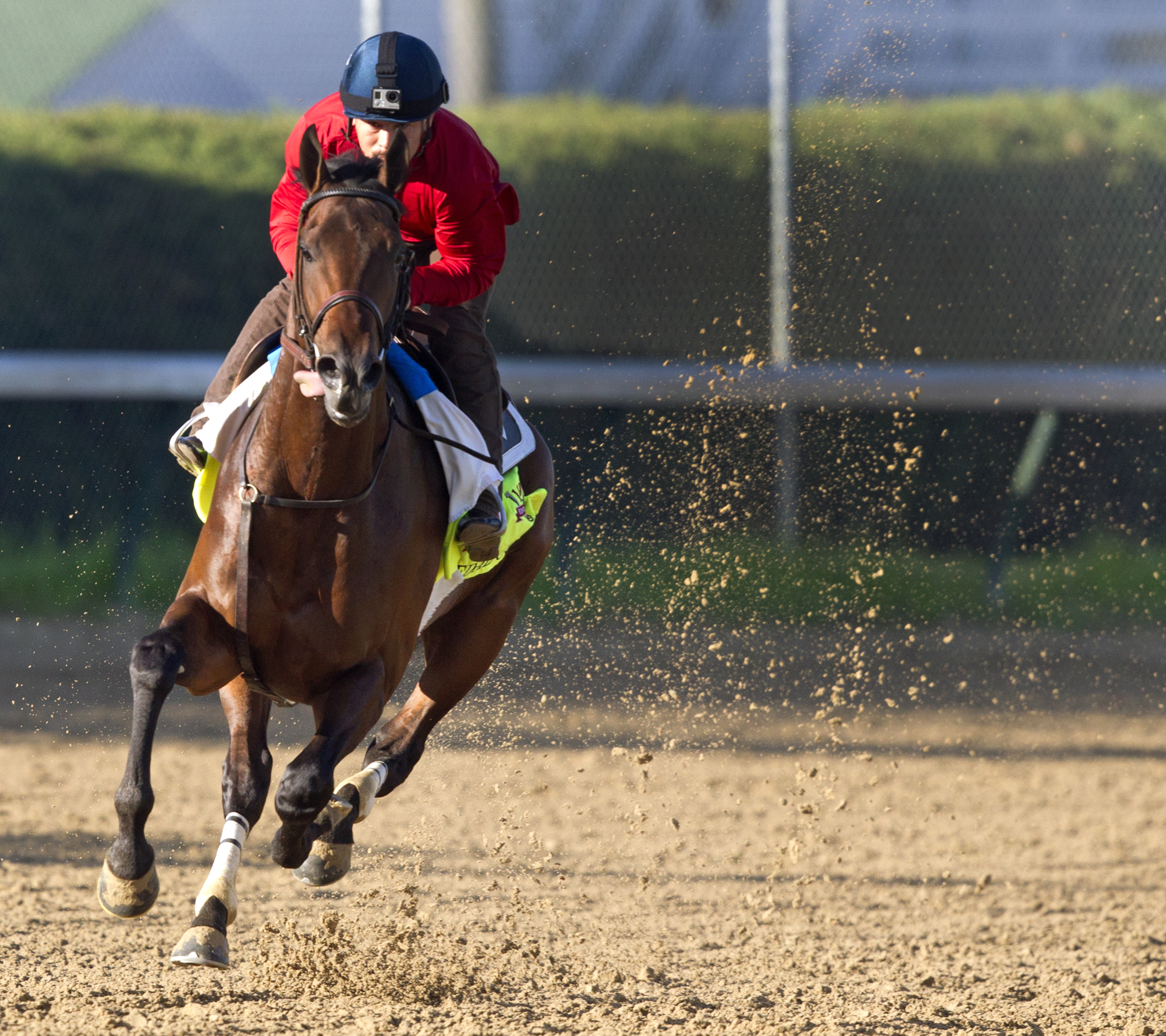 Medal Count at Churchill Downs