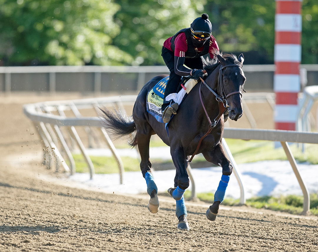 Medina Spirit trains at Pimlico Race Course on May 13