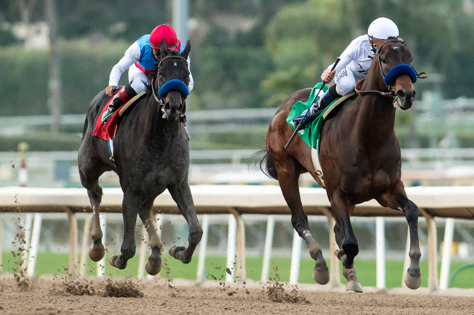 Medina Spirit (left) finishes second in the 2021 Sham Stakes at Santa Anita Park