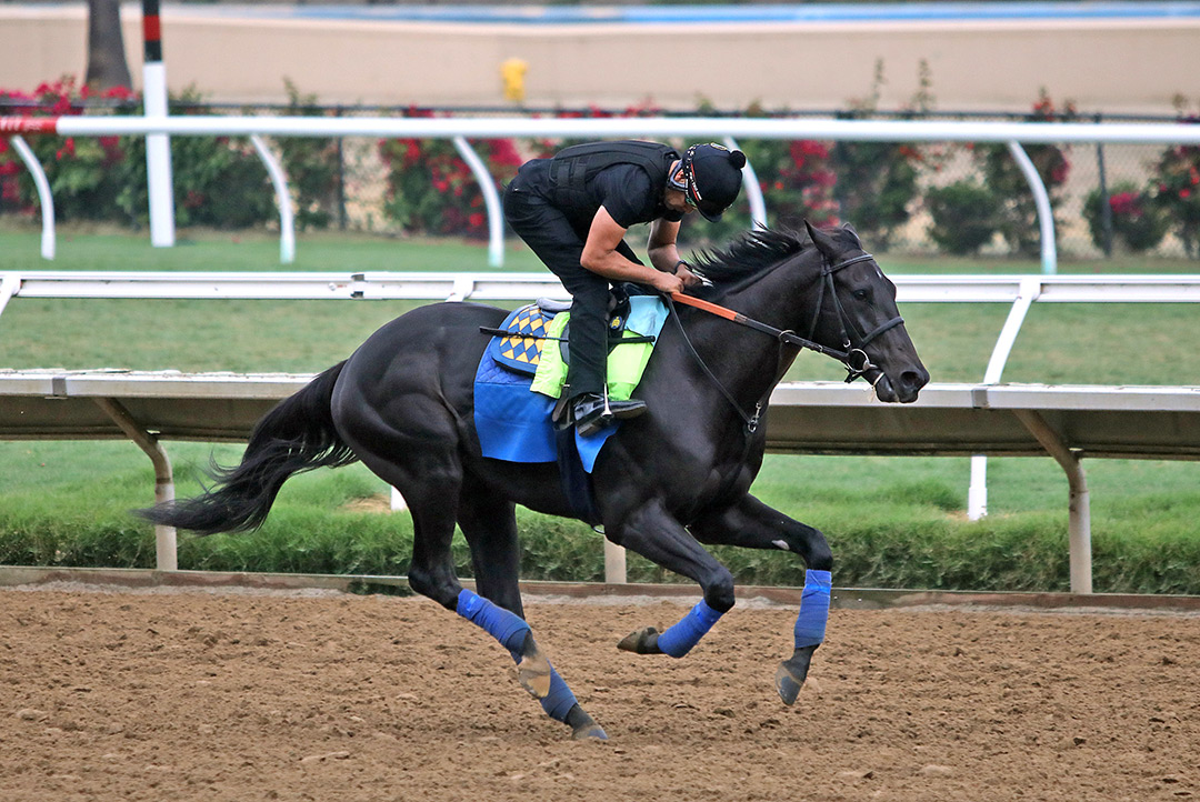 Medina Spirit trains at Del Mar on Aug. 21