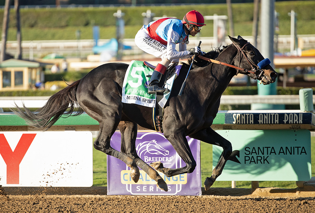 ECLIPSE 2021 - Medina Spirit