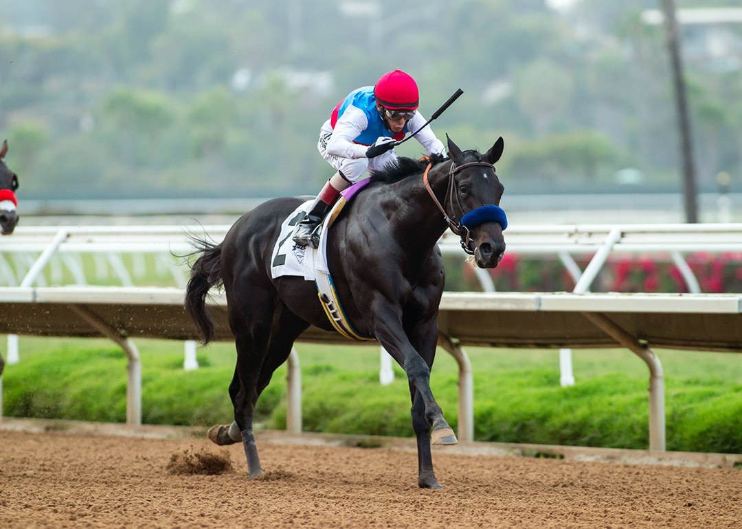 Medina Spirit wins the 2021 Shared Belief Stakes at Del Mar