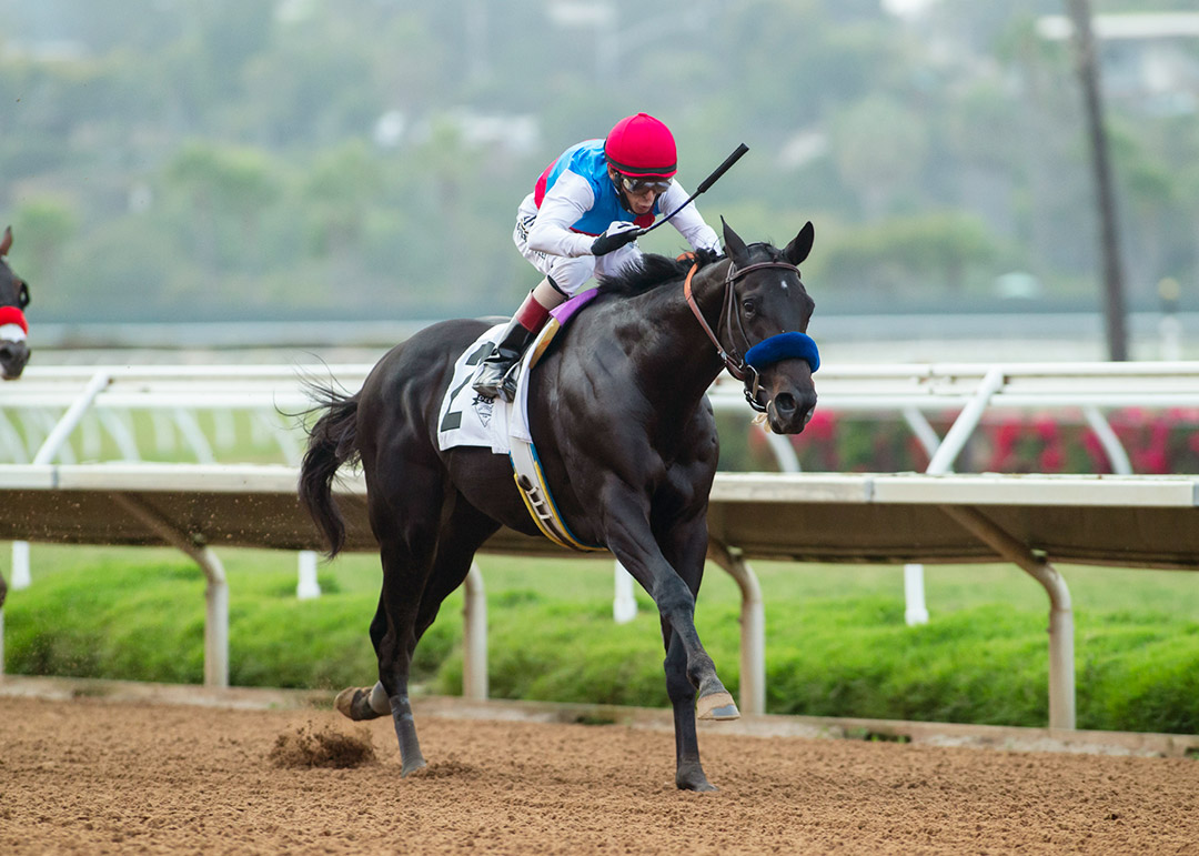 Medina Spirit wins the 2021 Shared Belief Stakes at Del Mar