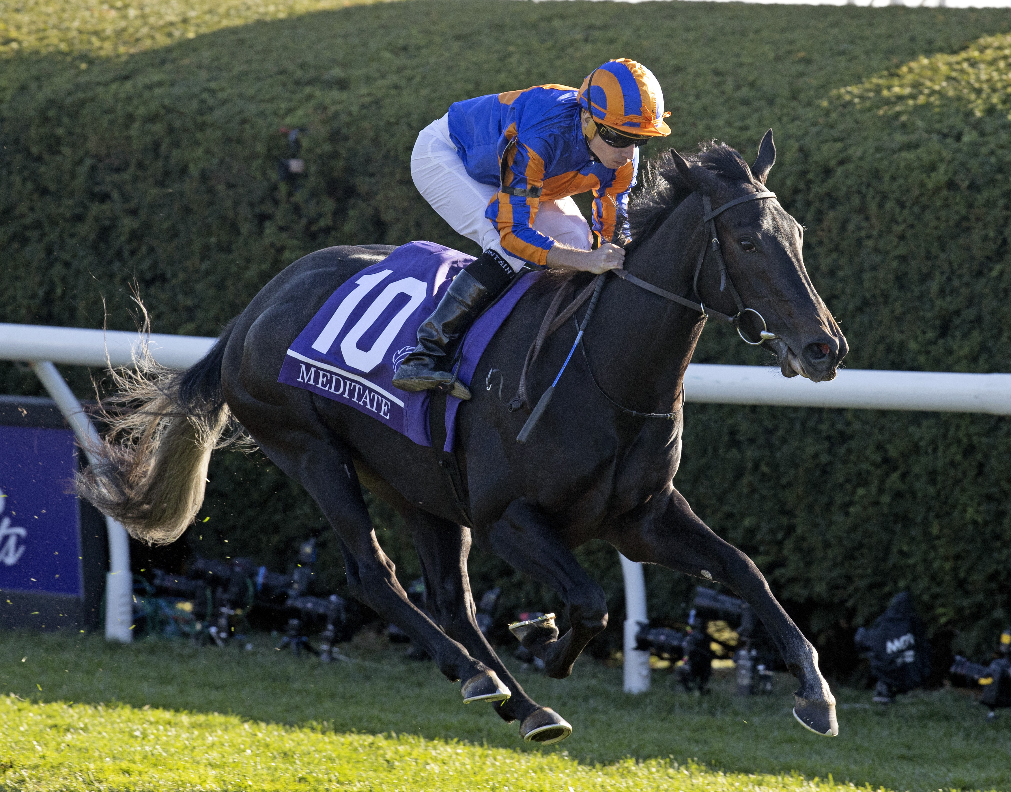 Meditate/Eclipse Awards