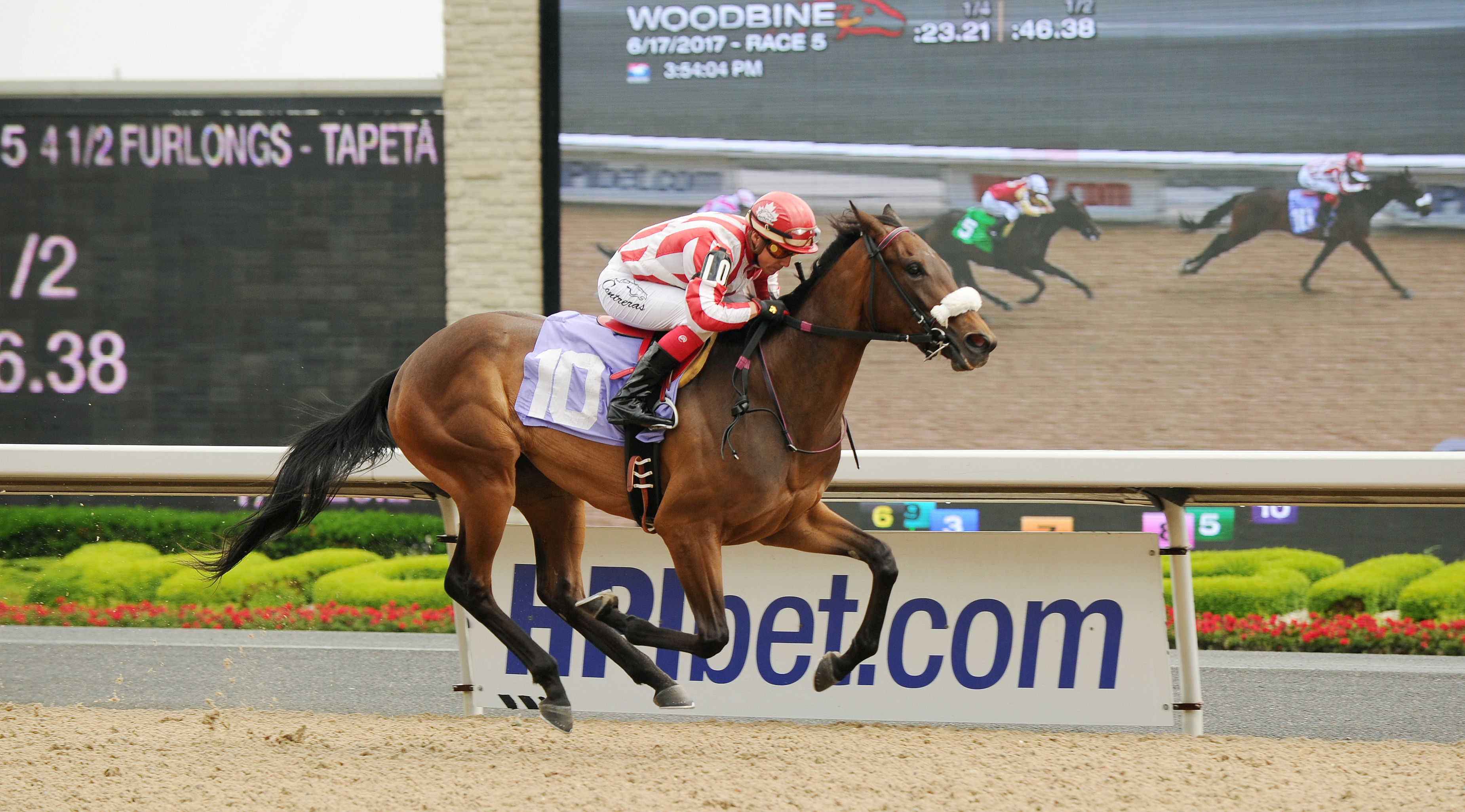 Mega Monster wins a June 17 maiden race