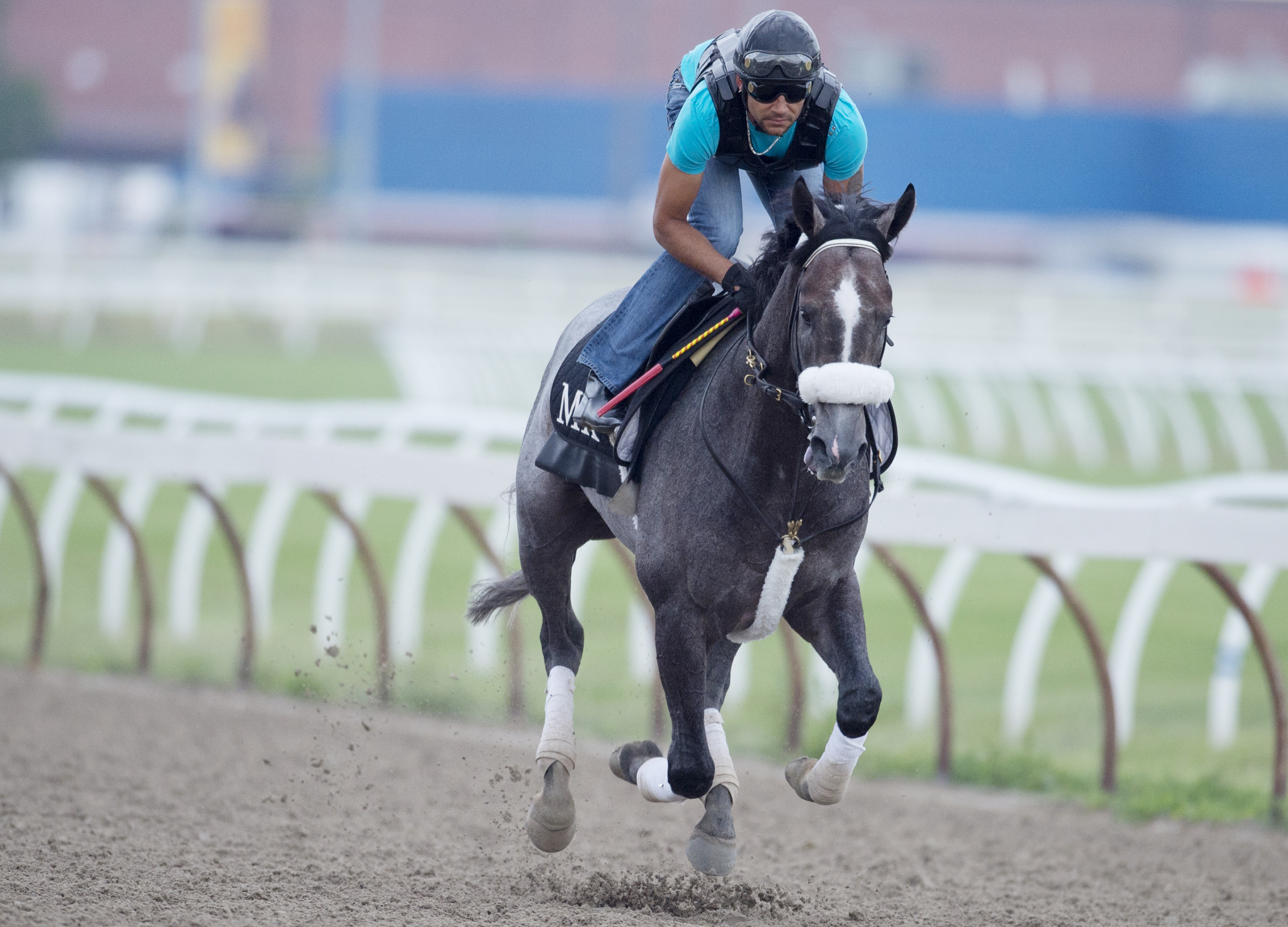 Megagray trains at Woodbine on June 20