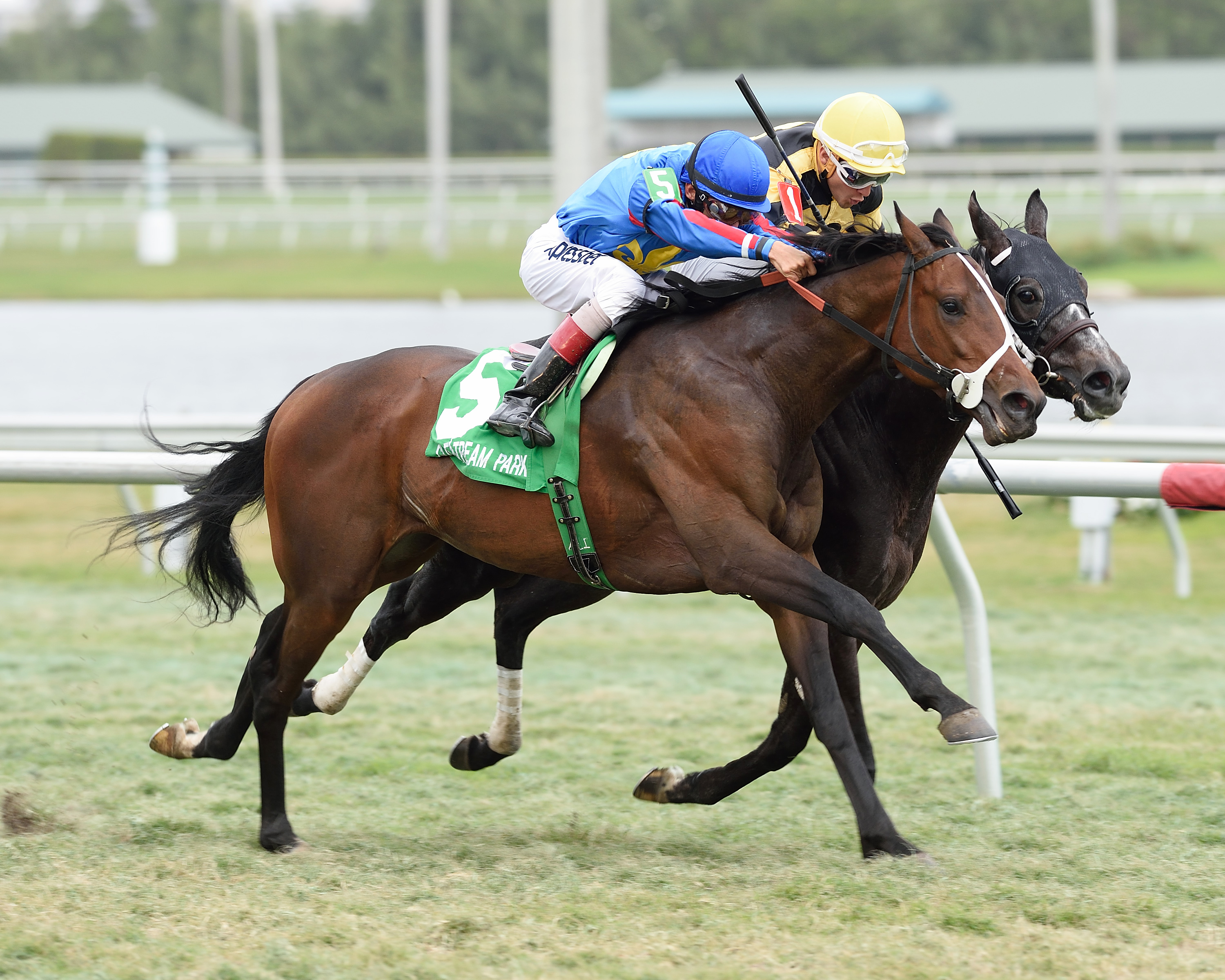 Megeve wins the Sage of Monticello