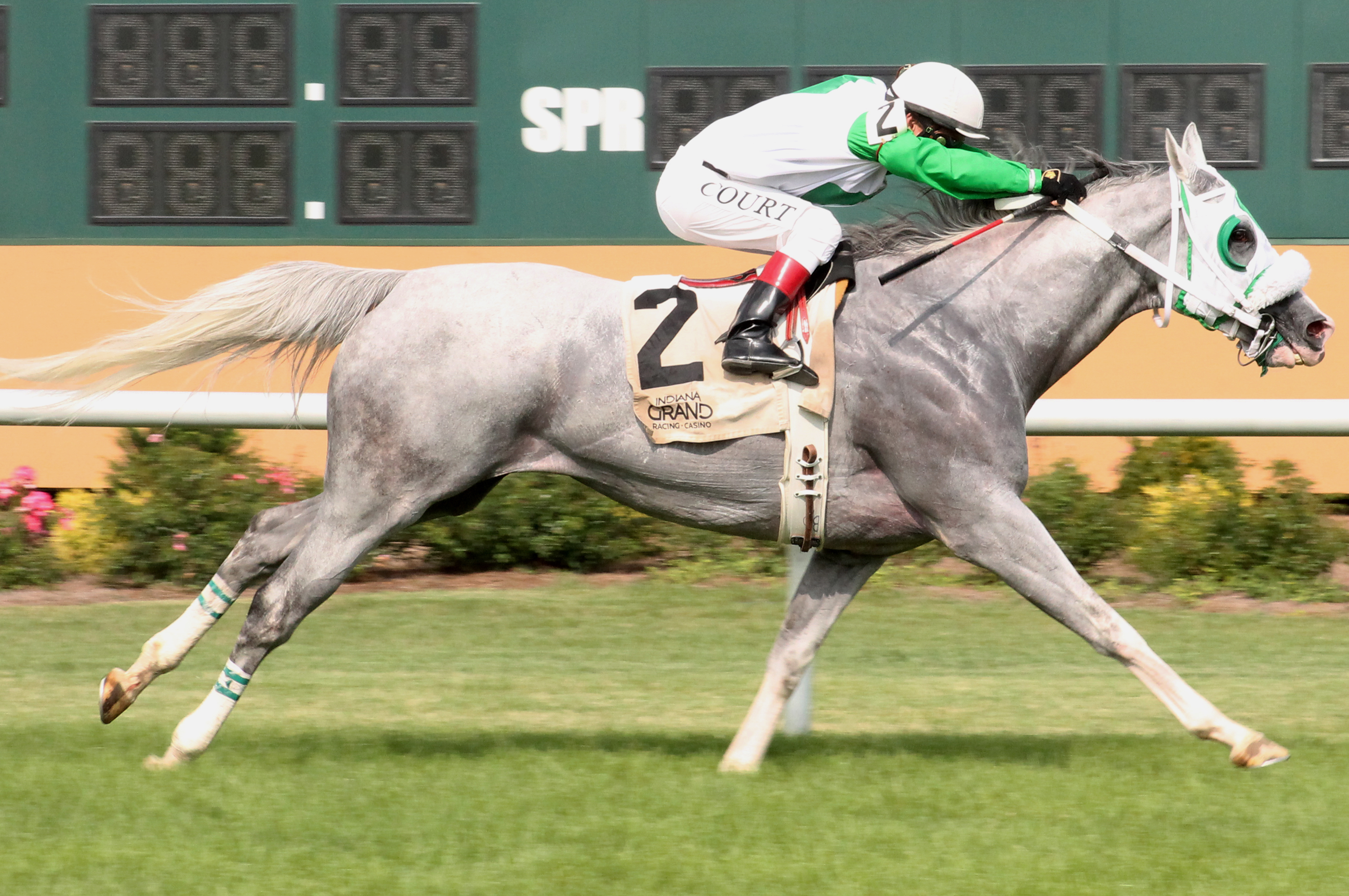 Melaleuca wins the Brandywine Stakes