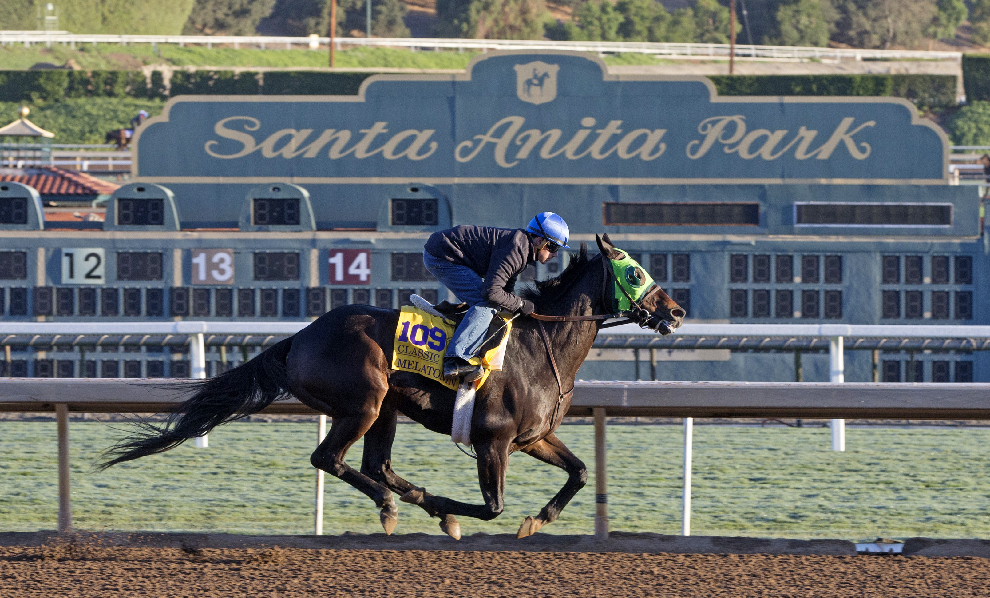 Melatonin works at Santa Anita on Nov. 2