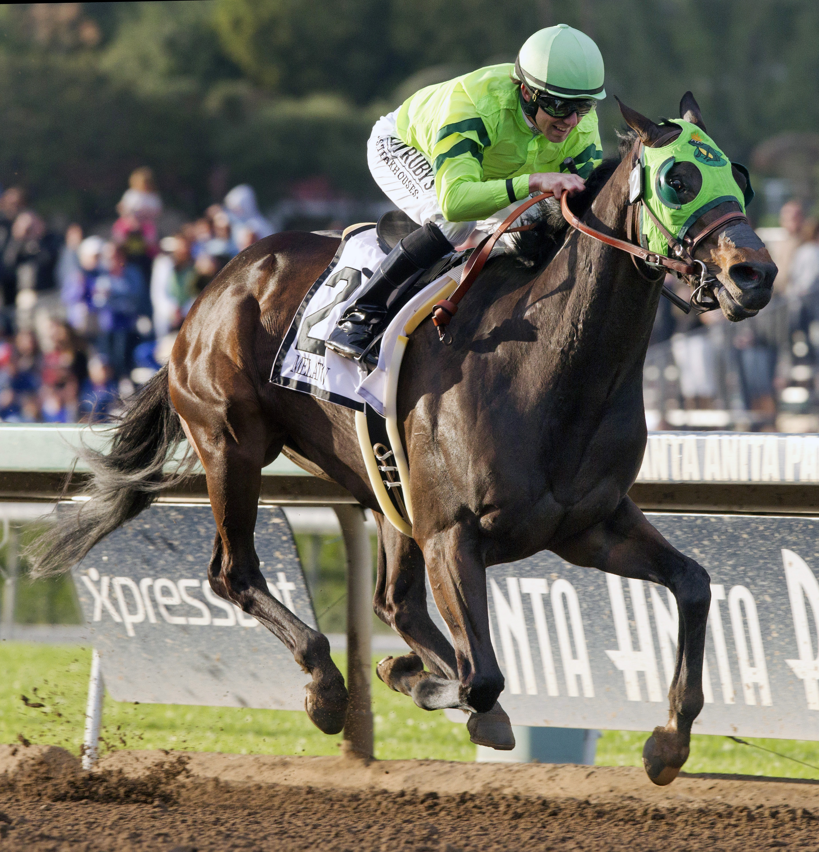 Melatonin wins the Santa Anita Handicap
