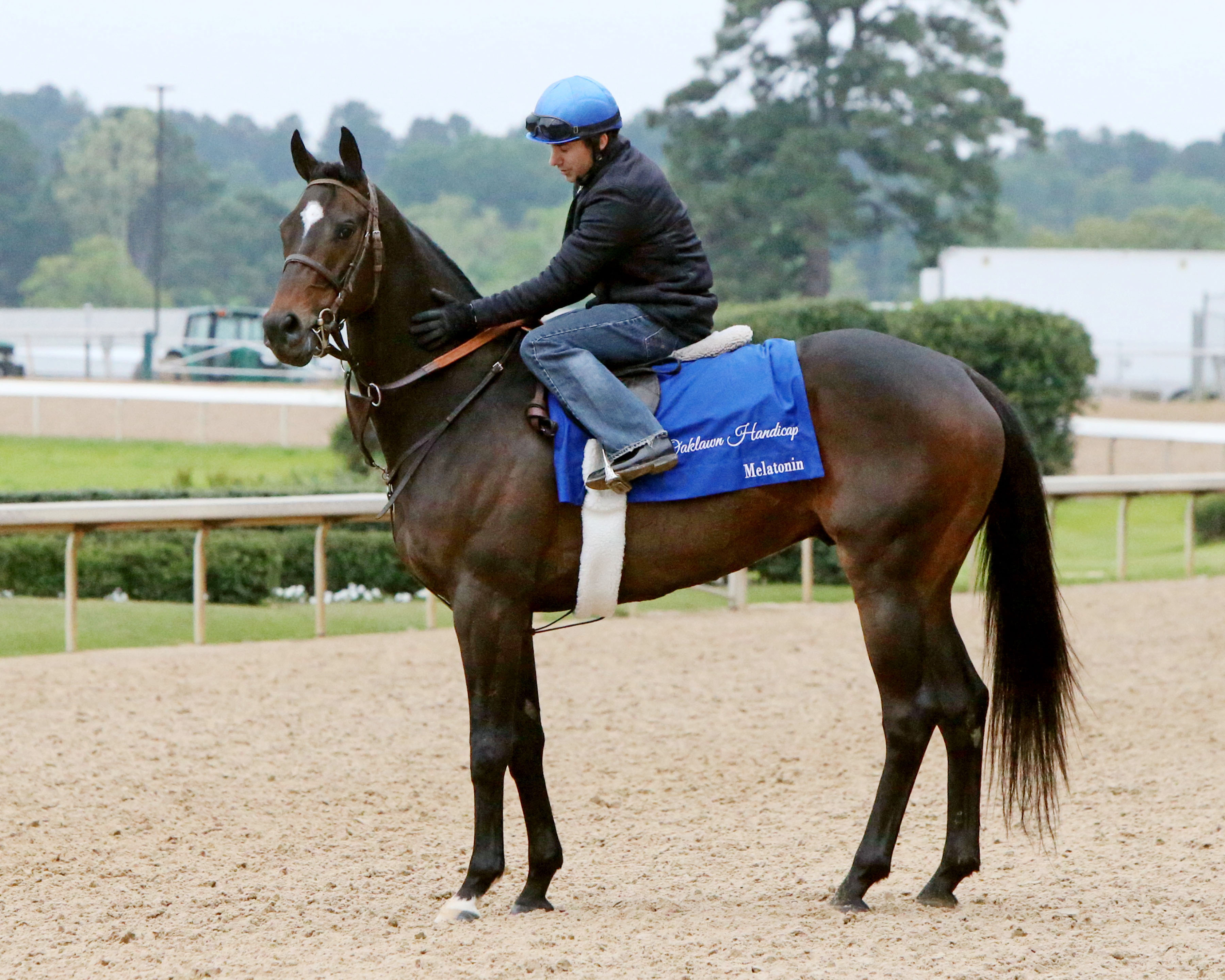 Melatonin at Oaklawn Park on April 15