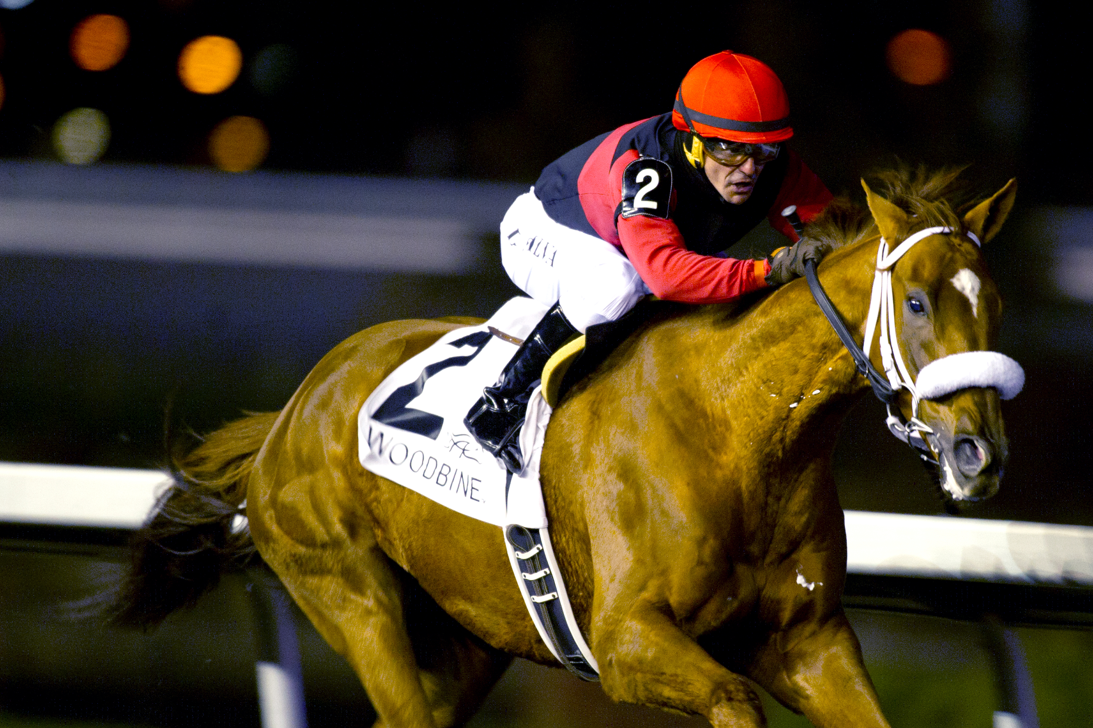 Melmich wins the Valedictory Stakes