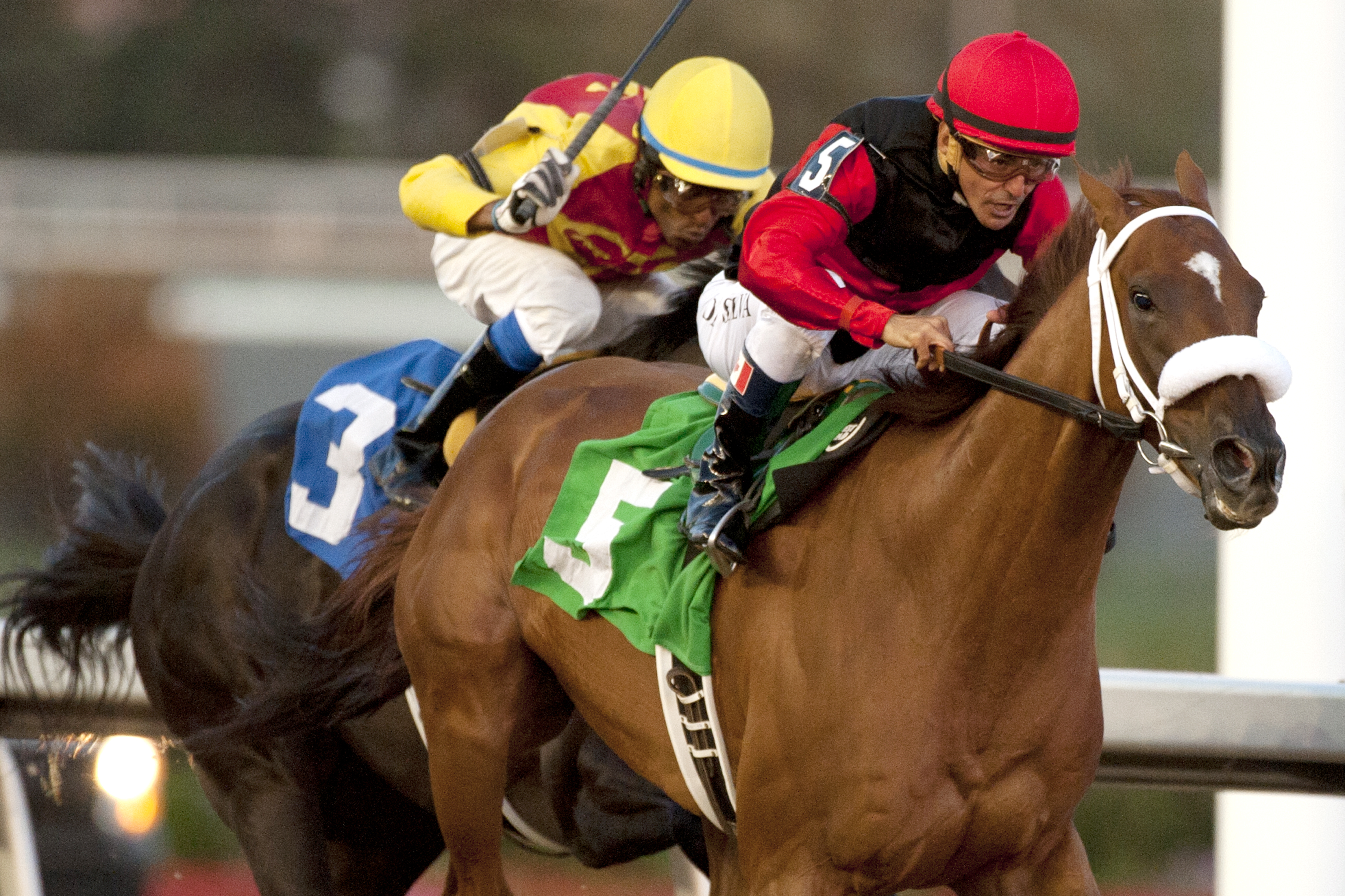 Melmich wins the Elgin Stakes