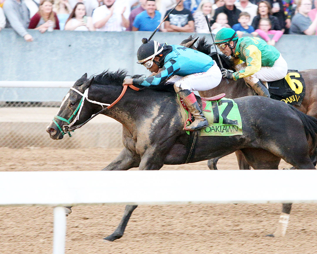 Melting Snow wins a Dec. 31 allowance at Oaklawn Park