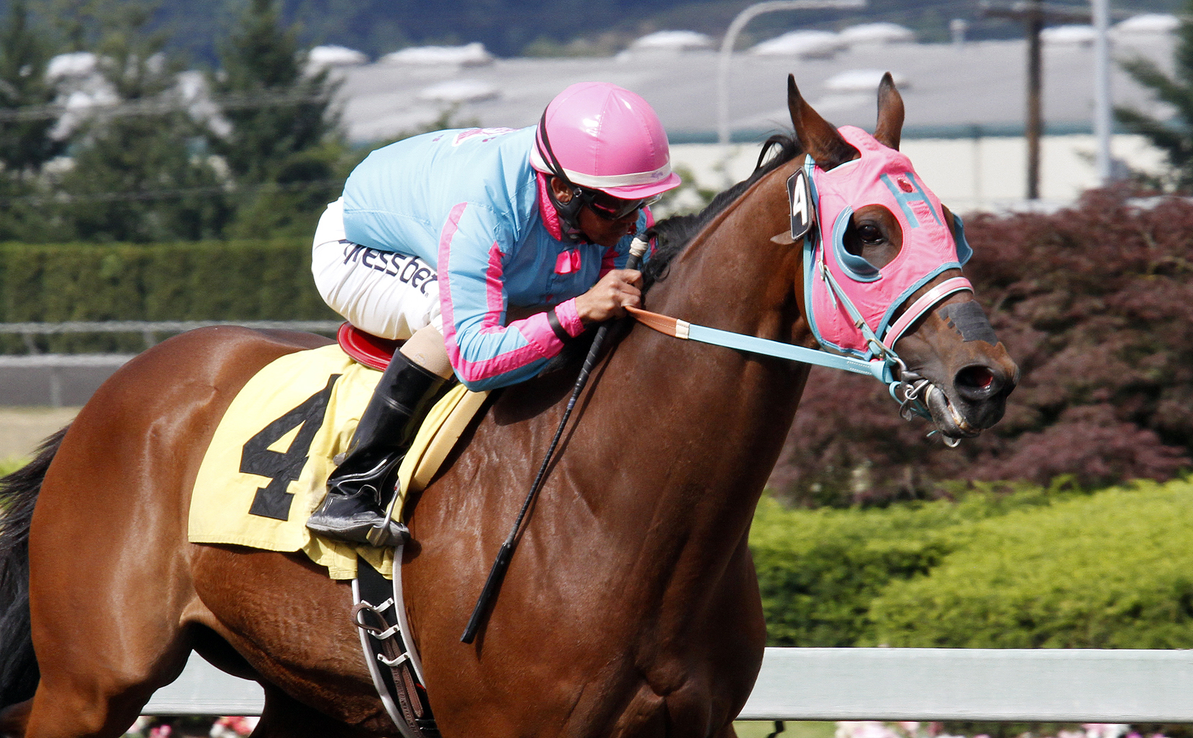 Memphis Mobster wins an allowance race