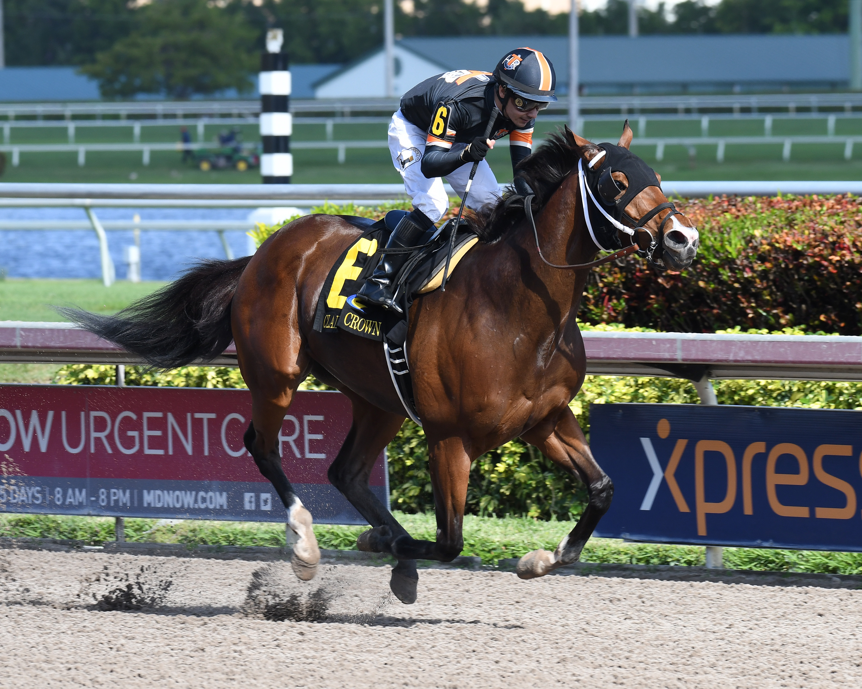 Mended wins the 2017 Claiming Crown Glass Slipper