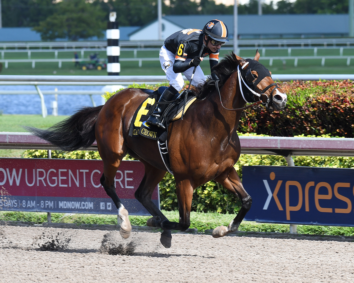 Mended wins the 2017 Claiming Crown Glass Slipper Stakes